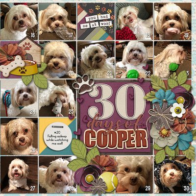 30 days of Cooper, right side