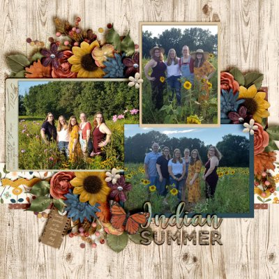 Sunflower Fields