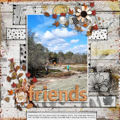 Friends