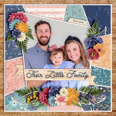 Their Little Family
