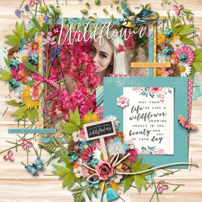 Wildflower