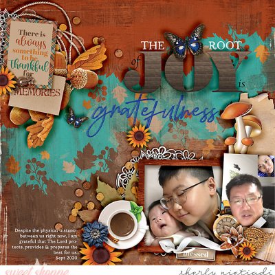 gratefulness