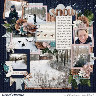Snow January 2020