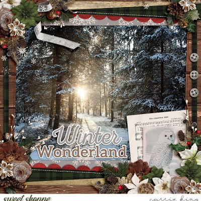 Winter wonderland