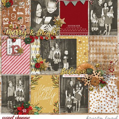 2013 Happy Holidays