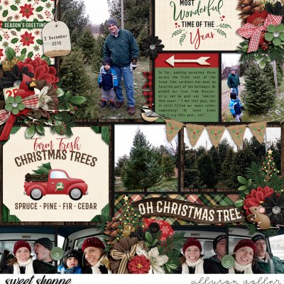O Christmas Tree 2010