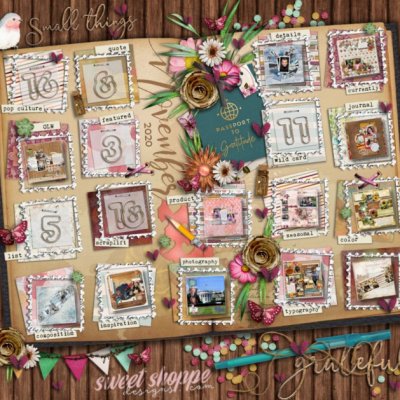 Passport November