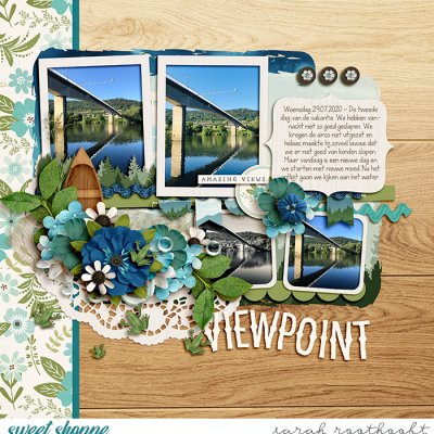 Viewpoint