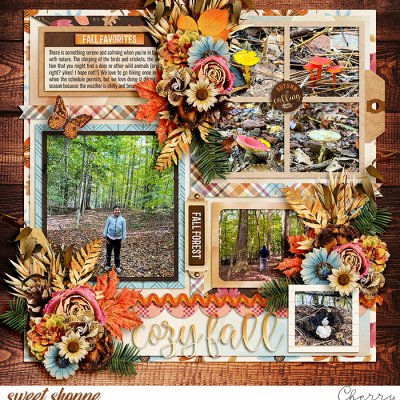 Cozy Fall