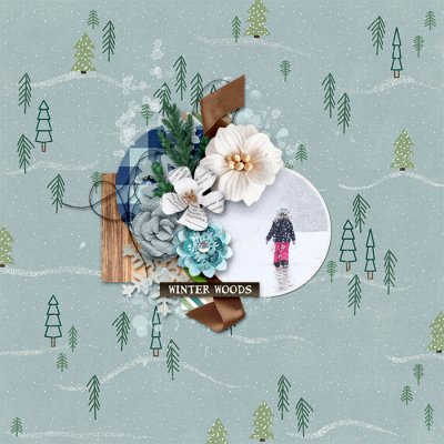 CMG_WinterWoods_KDBOS21