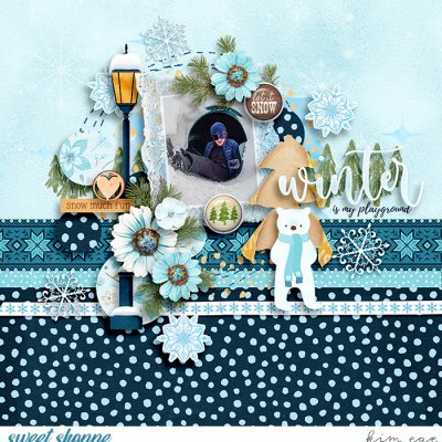 Winter Playground
