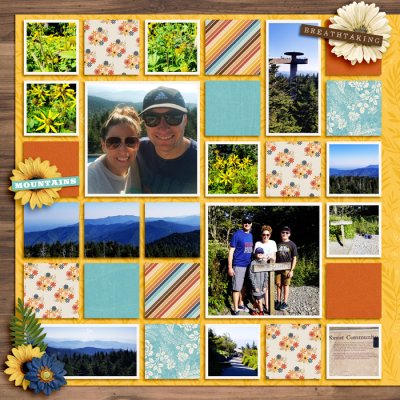 Clingman's Dome