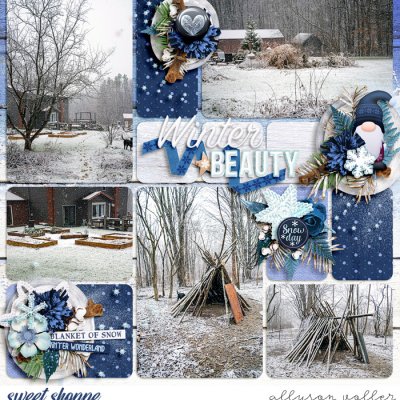 Winter Beauty
