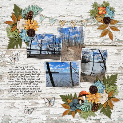 winter walk 2