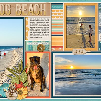 Dog Beach