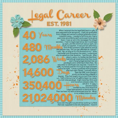 Legal Career