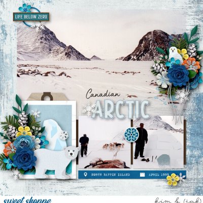 Canadian Arctic