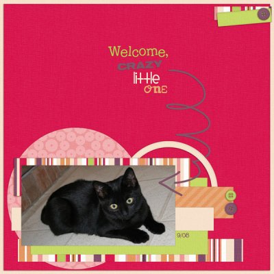 Welcome Crazy Little One
