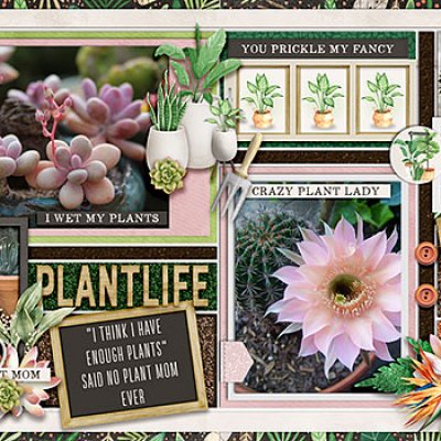 #plant life