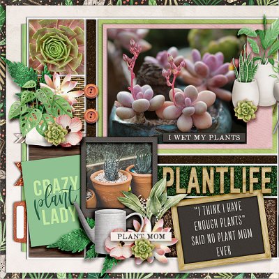 #plant life