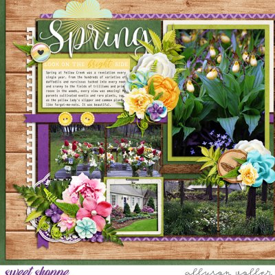 Spring at 3557 left