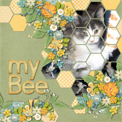 My Bee