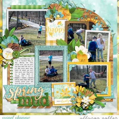 Spring Mud