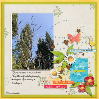 #3 Featured:  Alice & Ru