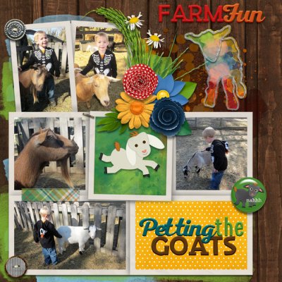 petting the goats