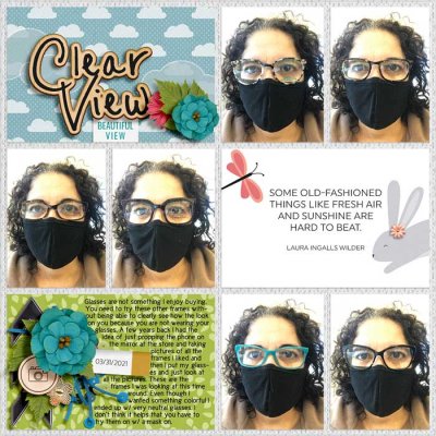 Clear View