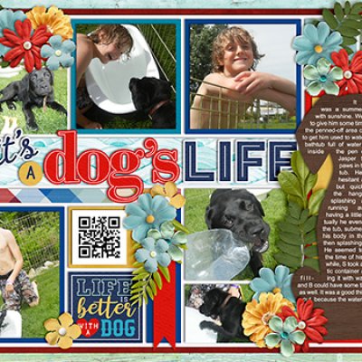 It's a Dog's Life