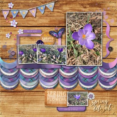 7 - Spring delight