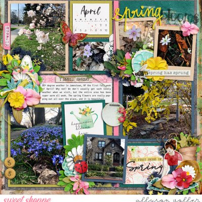 Spring Blooms
