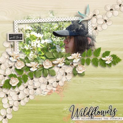 Wildflowers