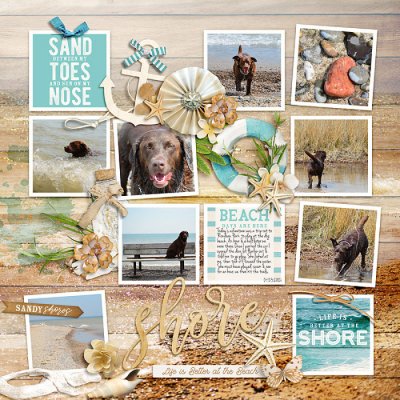 April 2021 Passport to Renewal 8 So Sketchy: Monthly Inspiration