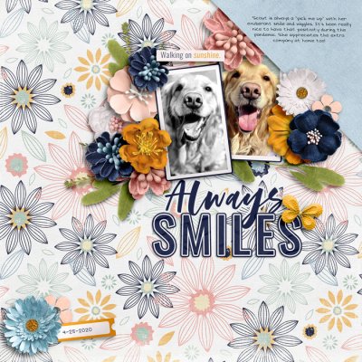 Always Smiles