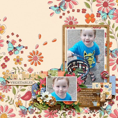 From The Garden