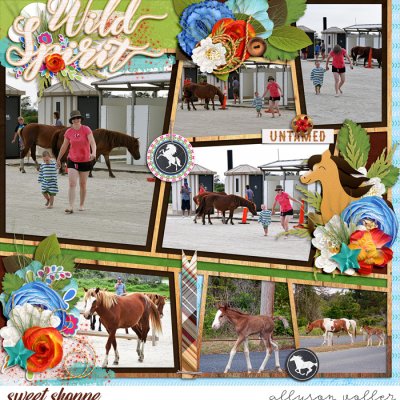 Wild Spirit 2011 right