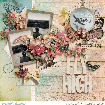Fly High