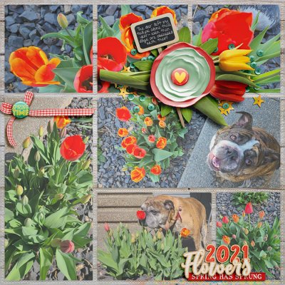 Flowers