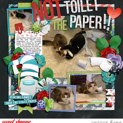 Not the Toilet Paper!!