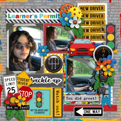 Learn2Drive