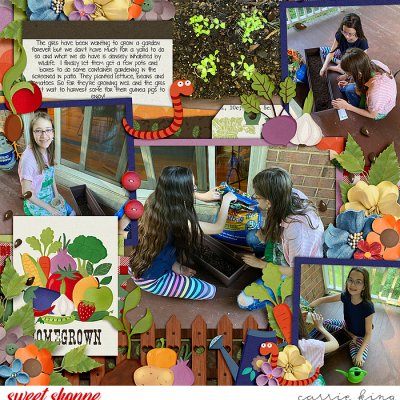 Container Gardening
