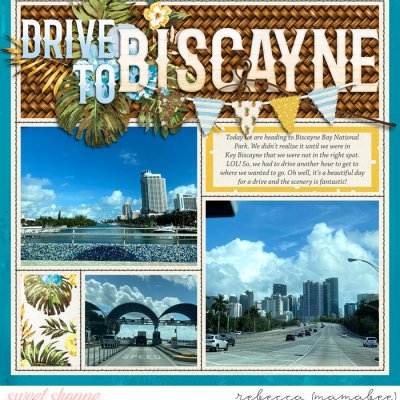 Drive to Biscayne, left