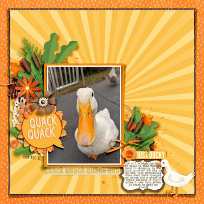 Quack Quack