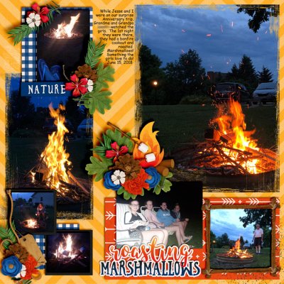 Roasting Marshmallows