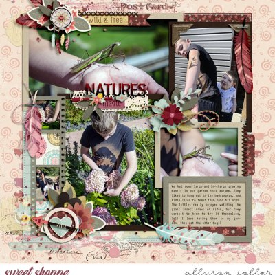 Nature's Magic
