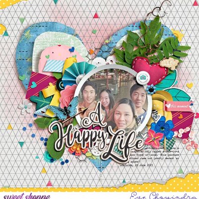 a happy life