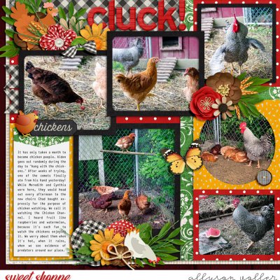 Cluck left