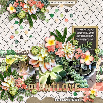 Plant Love